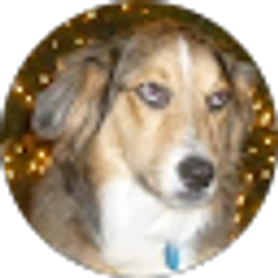 Profile photo of Brent Israel