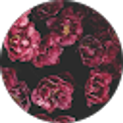 Profile photo of nichole miller