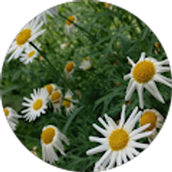 Profile photo of Vicki