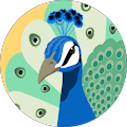 Profile photo of Tm H