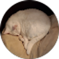 Profile photo of P.M. Beverage