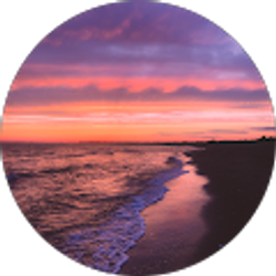 Profile photo of Omar Hammami