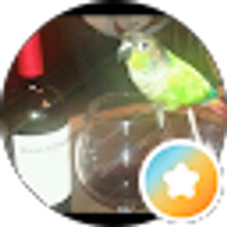 Profile photo of chuck scheiderman