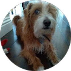 Profile photo of andrea coombes