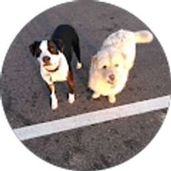 Profile photo of Aileen