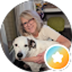 Profile photo of Julie Yesulis