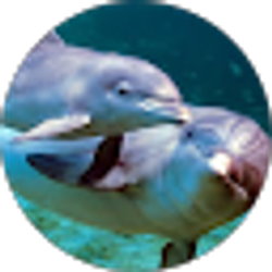 Profile photo of Emaline Paraon-Kahale