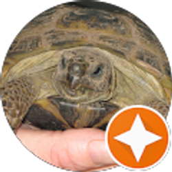 Profile photo of Cynthia Gaya