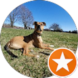 Profile photo of Richard Stuart