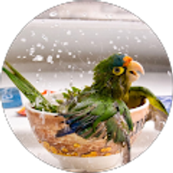 Profile photo of Jared Paul