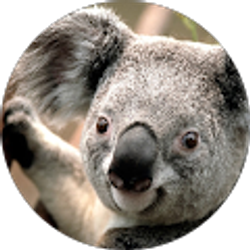 Profile photo of JC Nieves