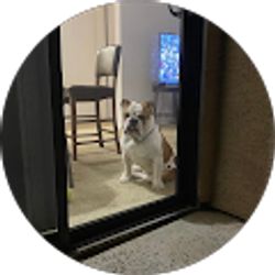 Profile photo of josh