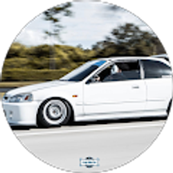 Profile photo of Doritos 239