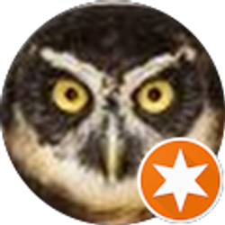 Profile photo of Jesse Clark