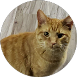 Profile photo of Maryann Millard