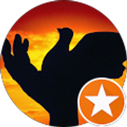 Profile photo of James