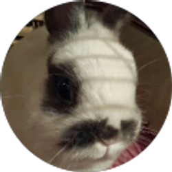 Profile photo of Jane Mader