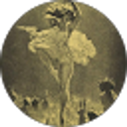 Profile photo of Sara Harrison