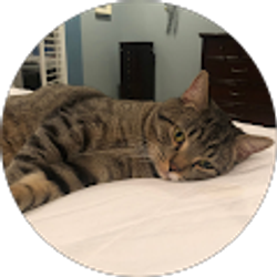 Profile photo of Debra Baer