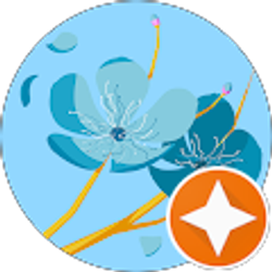 Profile photo of A S