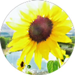 Profile photo of Lorayne Gaulden