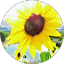 Profile photo of Lorayne Gaulden