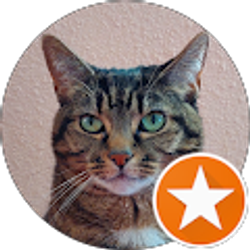 Profile photo of Dav U
