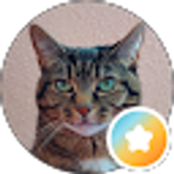 Profile photo of Dav U