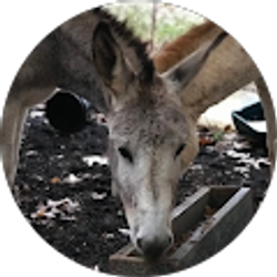 Profile photo of Beth Horton