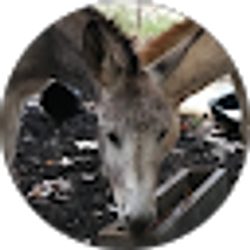 Profile photo of Beth Horton
