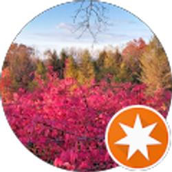 Profile photo of Gene lefevre