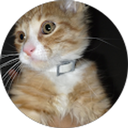 Profile photo of Juno Maldonado