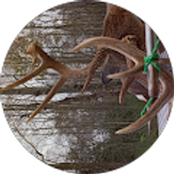 Profile photo of Angie Zabel