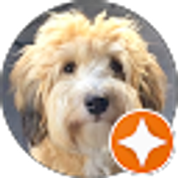 Profile photo of Whoodle Sites