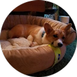 Profile photo of Holly Woodworth