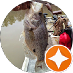 Profile photo of David McSpadden