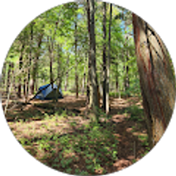 Profile photo of Mart Kobin