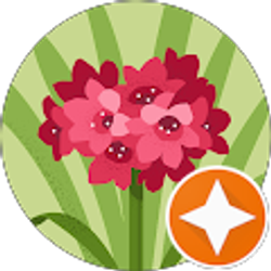 Profile photo of L M