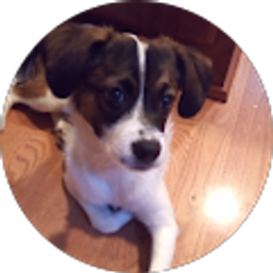 Profile photo of Narinderjit Ratanpal