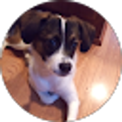 Profile photo of Narinderjit Ratanpal