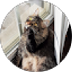 Profile photo of Renae Wiesler