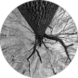 Profile photo of Ukiyx