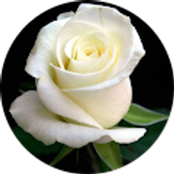 Profile photo of Jasmine Palma