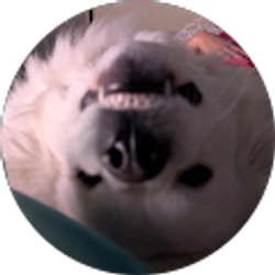 Profile photo of Michael Fairchild