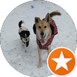 Profile photo of Donna Russell