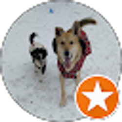 Profile photo of Donna Russell