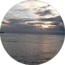 Profile photo of Will