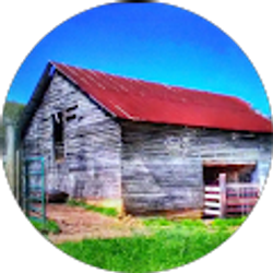 Profile photo of J B Allen