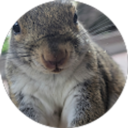 Profile photo of Shawna Mensinger