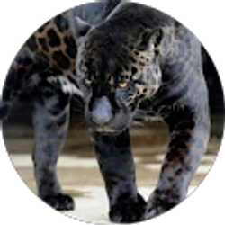 Profile photo of Lisa Goggins